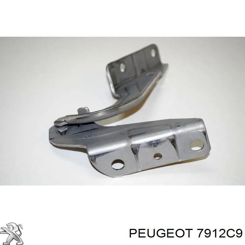 Петля капота, ліва Peugeot/Citroen 7912C9 ціна, від 11.39 USD