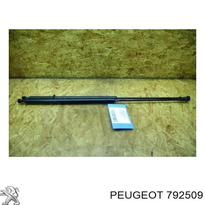 792509 Peugeot/Citroen амортизатор капота