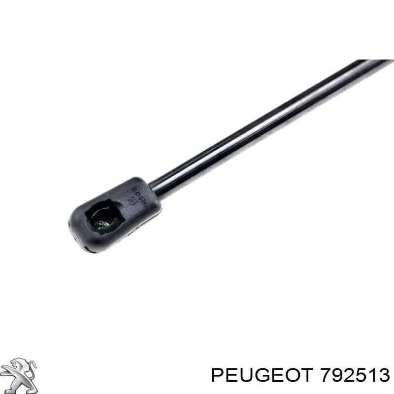 Амортизатор капота газовий Peugeot/Citroen 792513 ціна, від 9.64 USD