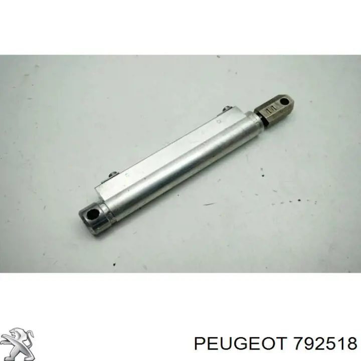 Амортизатор багажника 792518 Peugeot/Citroen