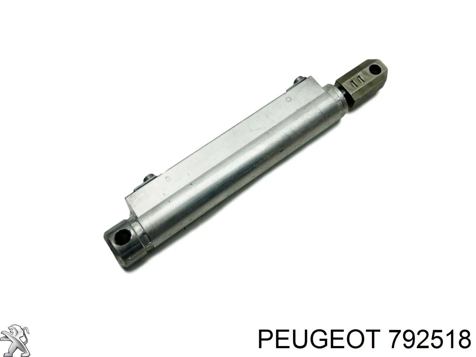 Амортизатор двері задньої Peugeot/Citroen 792518 ціна, від 8.42 USD