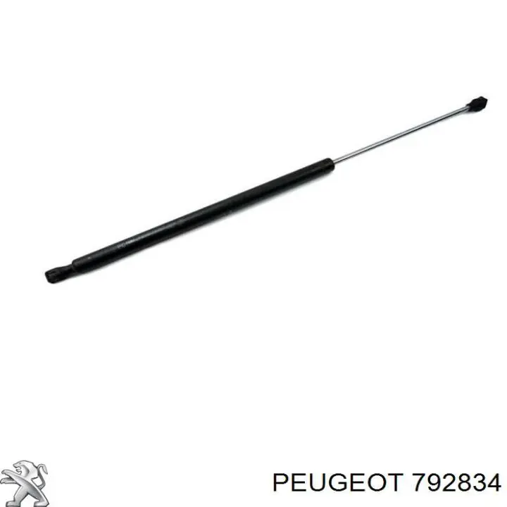 792834 Peugeot/Citroen Фіксатор підпори капота
