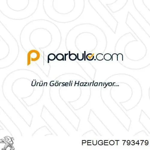 793479 Peugeot/Citroen Запор капота (замок і привід замка капота)