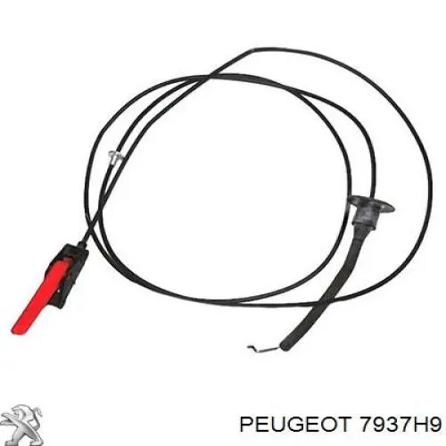 Купити 7937H9 Peugeot/Citroen Трос капота