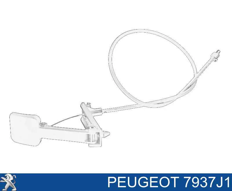 Купити 7937J1 Peugeot/Citroen Трос відкриття капота, передній