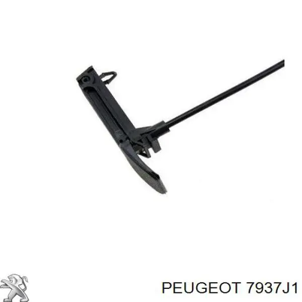 Трос відкриття капота, передній Febest 25101X7F ціна, від 12.49 USD