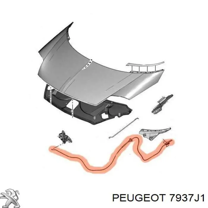 Трос відкриття капота, передній 25101X7F Febest