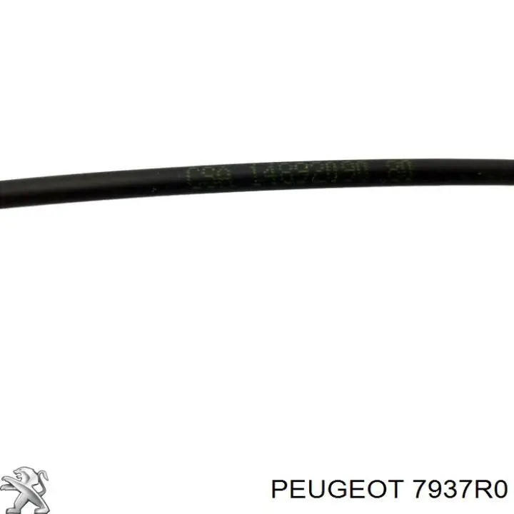 Купити 7937R0 Peugeot/Citroen Трос відкриття капота, передній