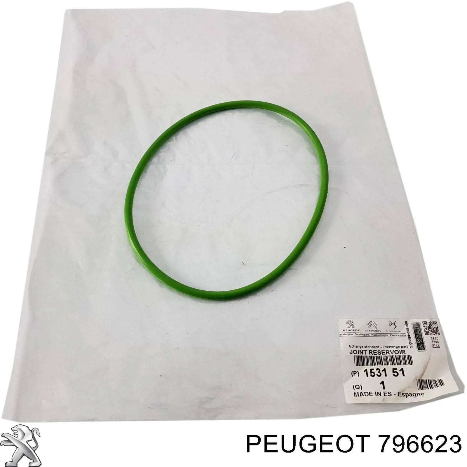 796623 Peugeot/Citroen 