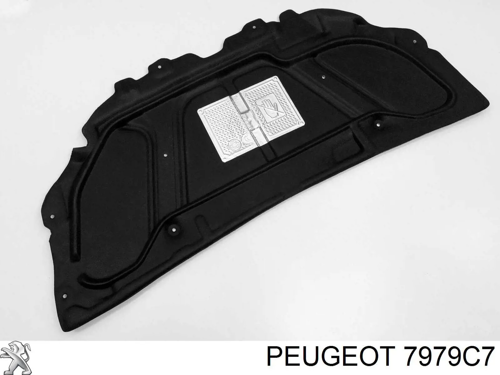 Обшивка капота Peugeot/Citroen 7979C7 ціна, від 31.67 USD