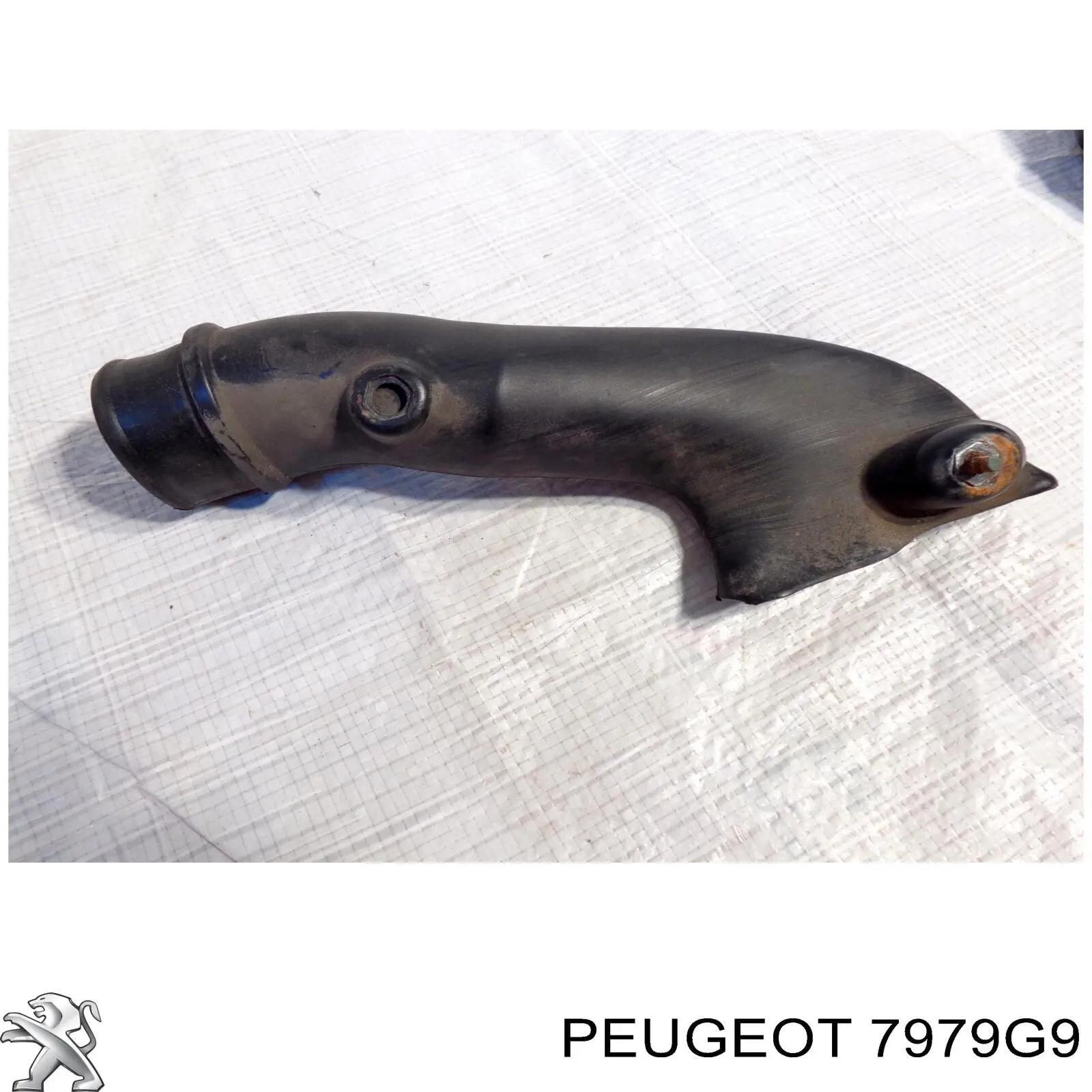 Купити 7979G9 Peugeot/Citroen Пластик двірників