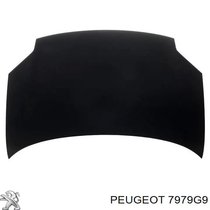 Огорожа, рамка під лобове скло Peugeot/Citroen 7979G9 ціна, від 45.32 USD