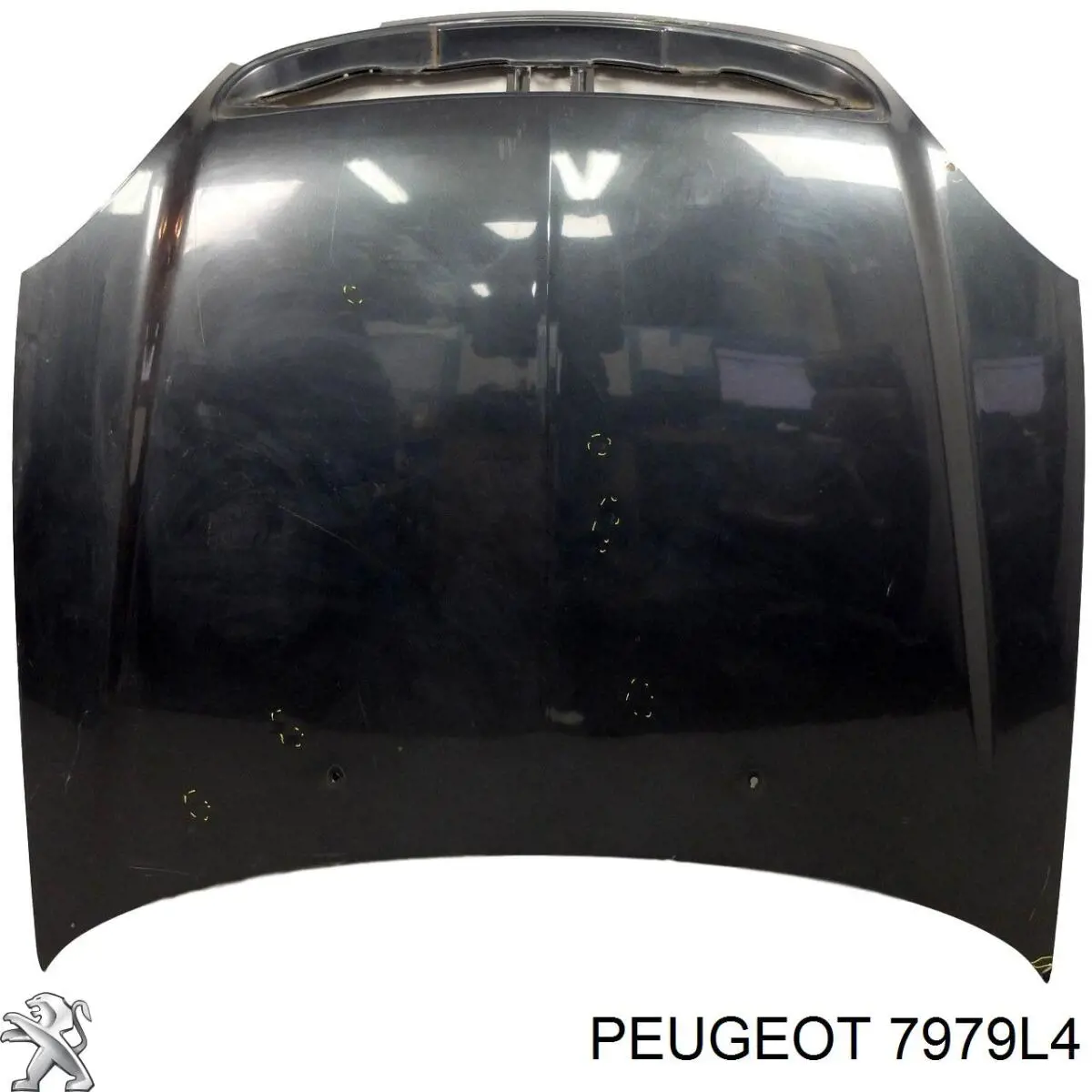 Купити 7979L4 Peugeot/Citroen Ізоляція моторного відсіку