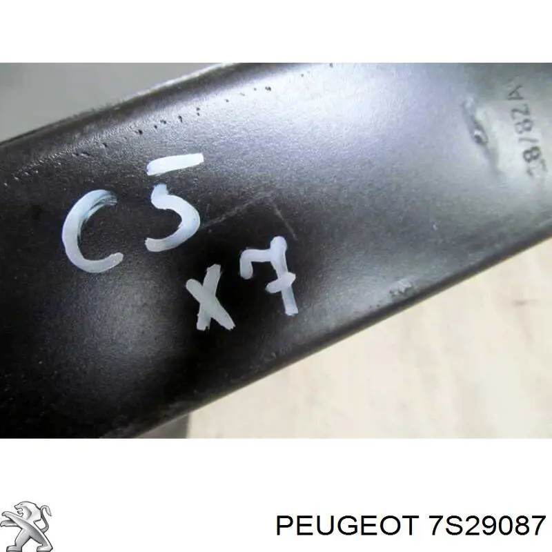 Купити 7S29087 Peugeot/Citroen 