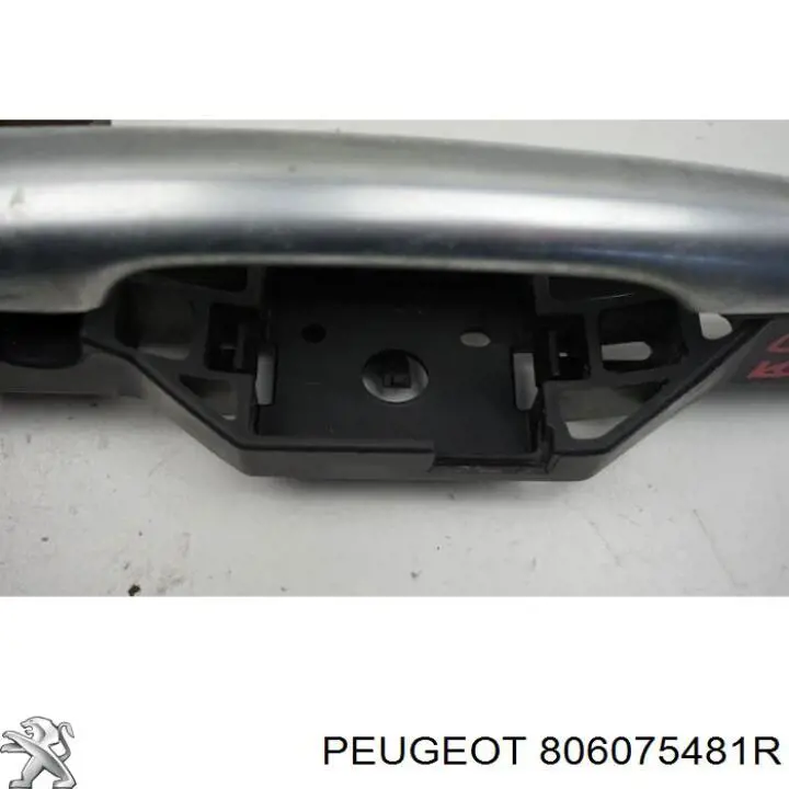 Тримач зовнішньої ручки дверей, передніх лівих Renault (RVI) 8261000Q0A
