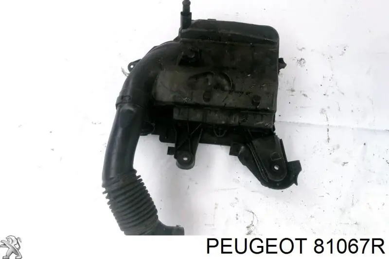 81067R Peugeot/Citroen 