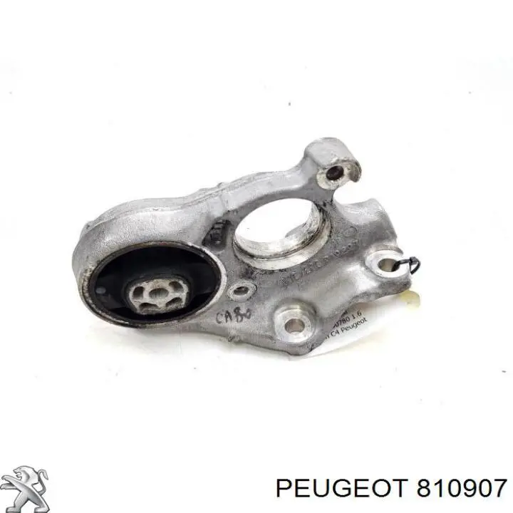 810907 Peugeot/Citroen 