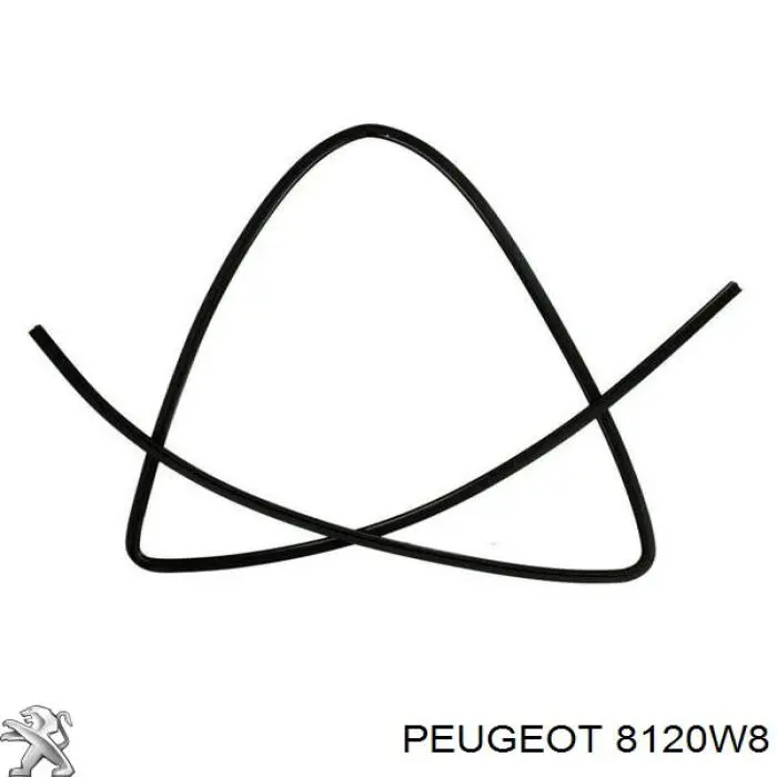 00008120W8 Peugeot/Citroen ущільнювач лобового скла