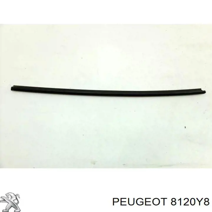 Купити 8120Y8 Peugeot/Citroen Молдинг лобового скла, правий