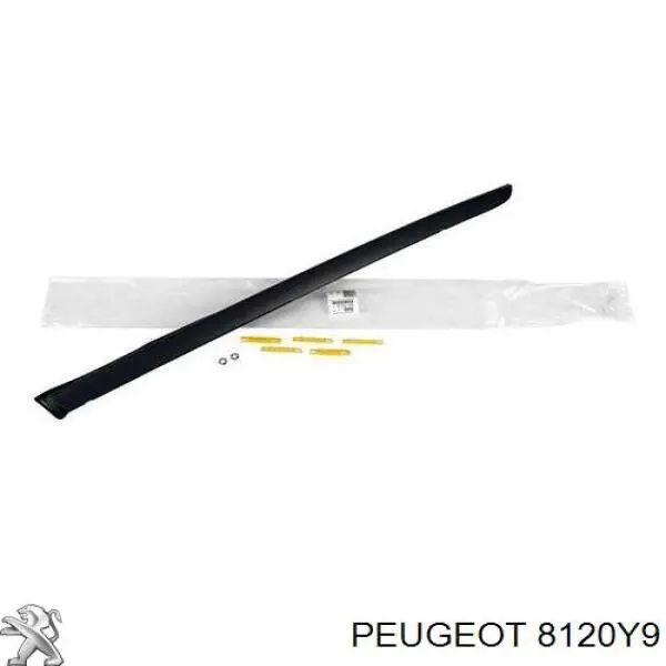 Захисна накладка переднього скла ліва Peugeot/Citroen 8120Y9 ціна, від 150.71 USD