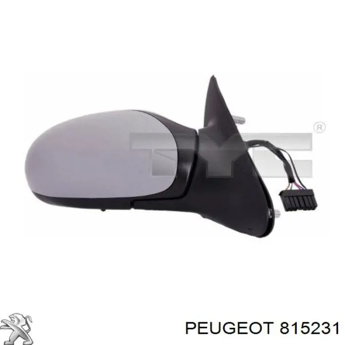 815231 Peugeot/Citroen Накладка дзеркала заднього виду, права