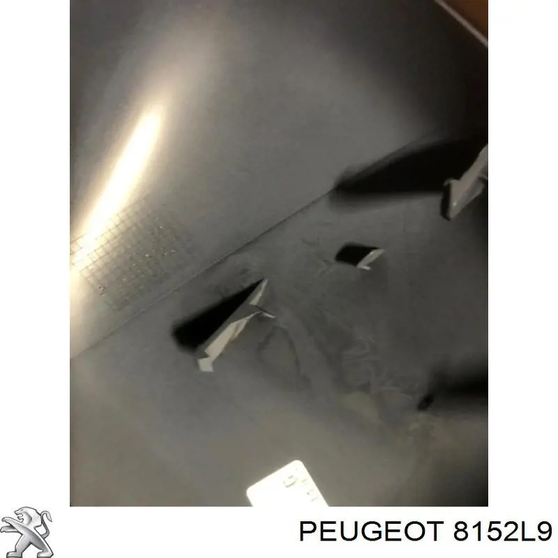 Накладка правого дзеркала заднього виду Polcar 233454PE ціна, від 7.49 USD
