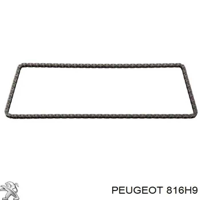 Ланцюг ГРМ, комплект Peugeot/Citroen 816H9 ціна, від 108.75 USD