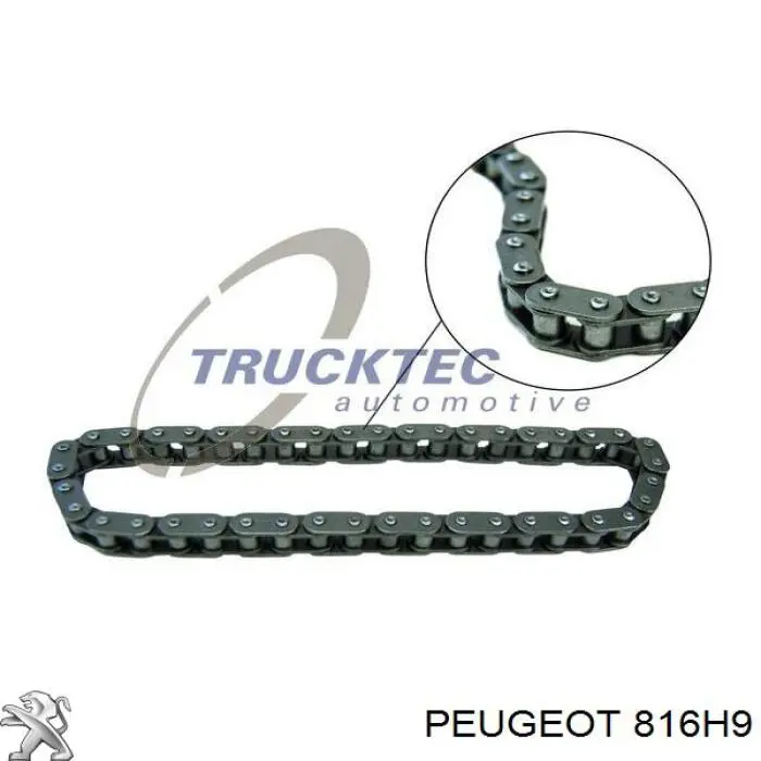 Купити 816H9 Peugeot/Citroen Комплект ланцюга ГРМ