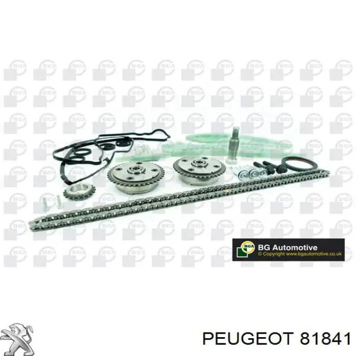 81841 Peugeot/Citroen заспокоювач ланцюга грм, верхній гбц