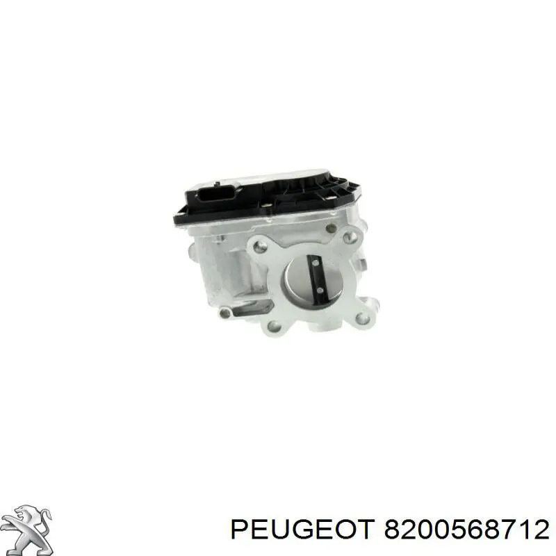 Дросільна заслінка 161202859R Renault (RVI)