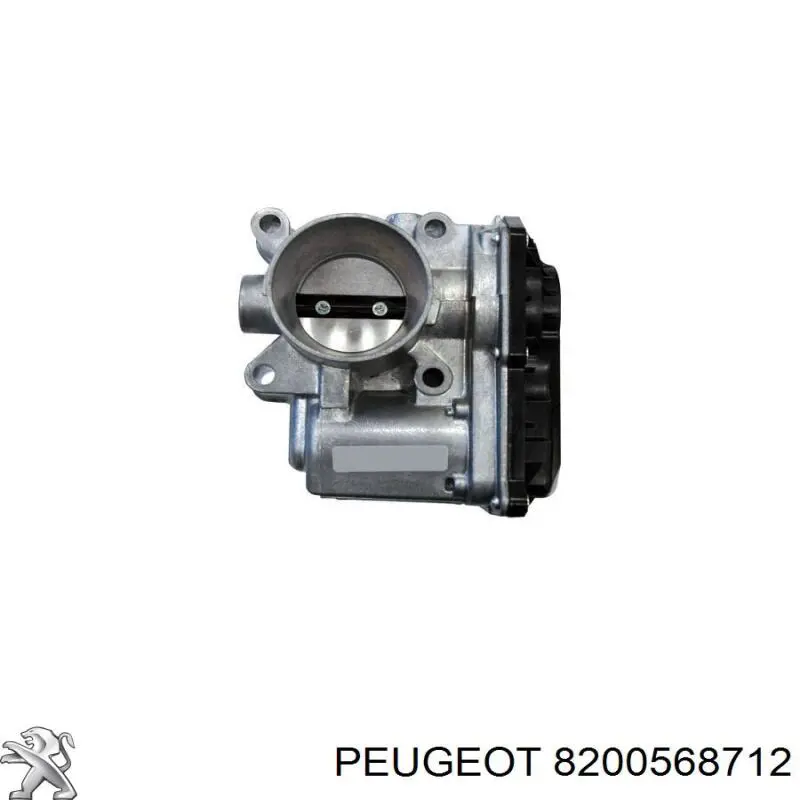 161202859R Renault (RVI) Дросільна заслінка в зборі