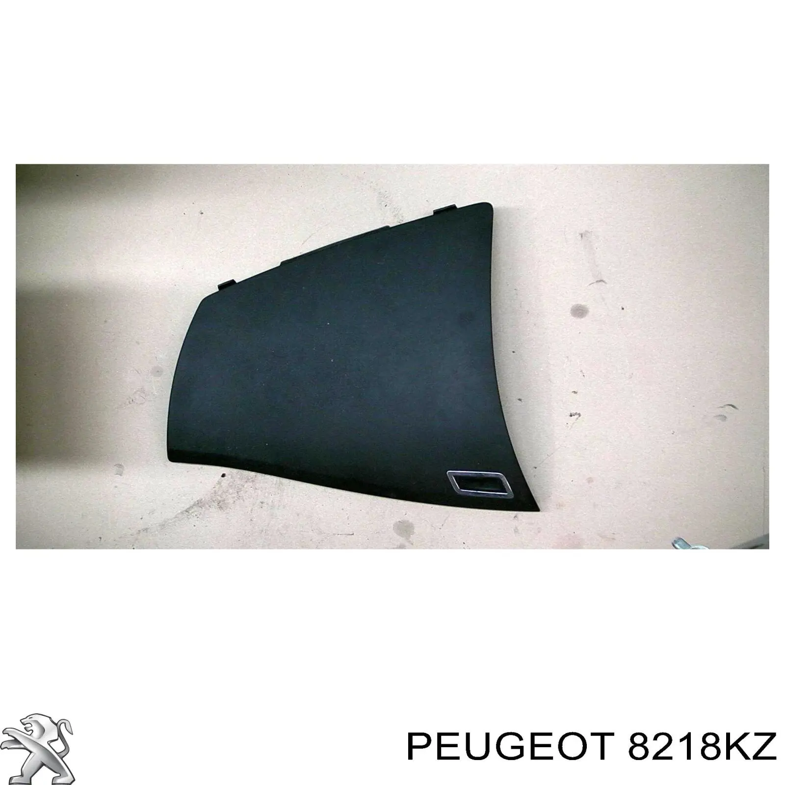 8218KZ Peugeot/Citroen 