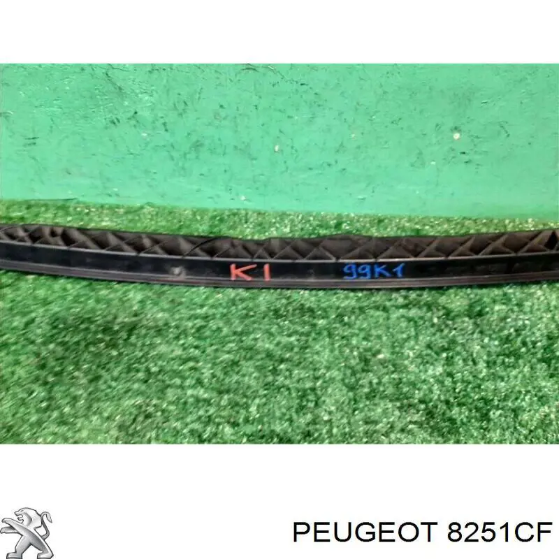 Купити 8251CF Peugeot/Citroen Водостік лобового скла, жабо