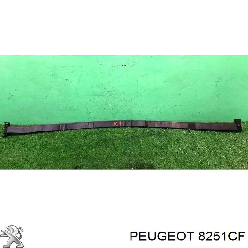 8251CF Peugeot/Citroen Водостік лобового скла, жабо
