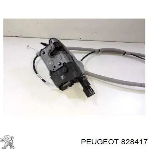 828417 Peugeot/Citroen 