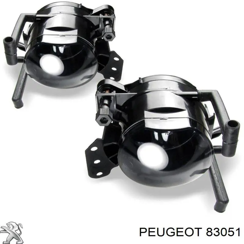 83051 Peugeot/Citroen ролик ременя грм, паразитний