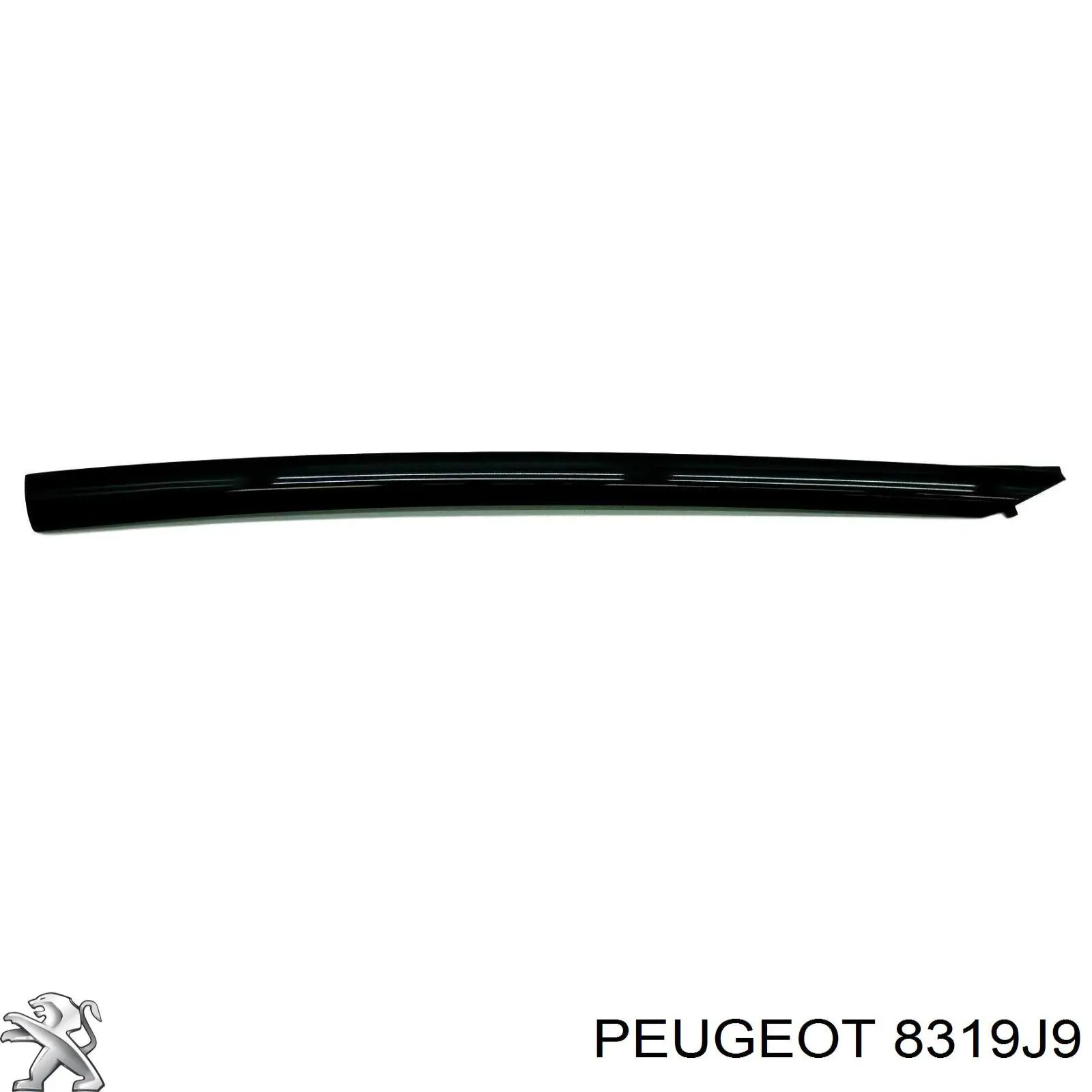 8319J9 Peugeot/Citroen 