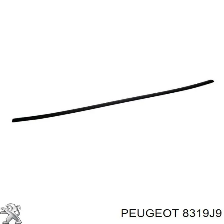 Купити 8319J9 Peugeot/Citroen 