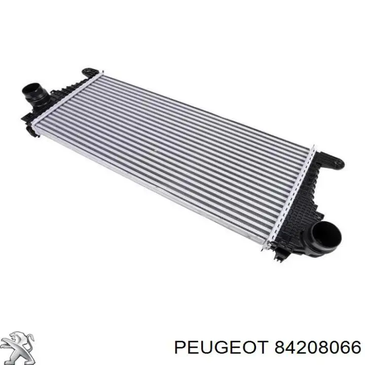 Купити 84208066 Peugeot/Citroen 