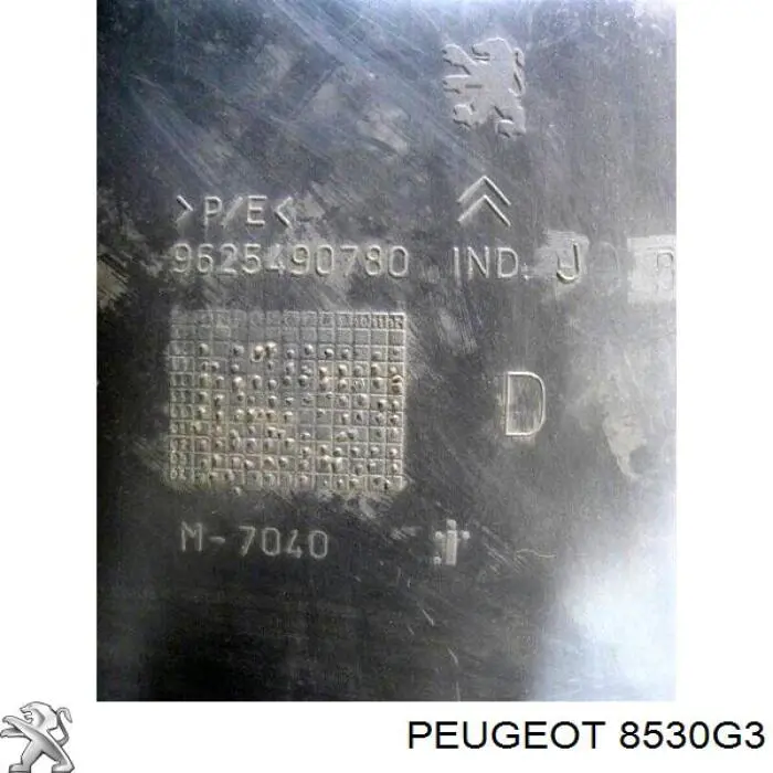Купити 8530G3 Peugeot/Citroen Підкрилок заднього крила, правий