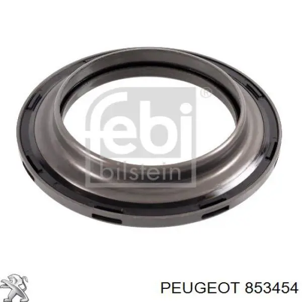Бризковики задній, правий Peugeot/Citroen 853454 ціна, від 28.40 USD