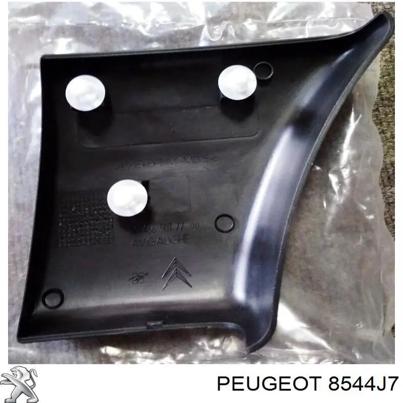 Молдинг переднього лівого крила Peugeot/Citroen 8544J7 ціна, від 10.41 USD