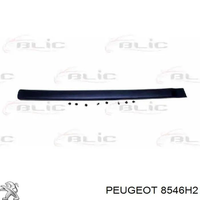 Молдинг задніх лівих дверей WPI PB2918 ціна, від 15.34 USD