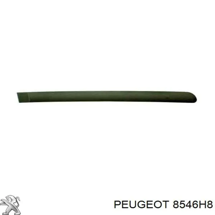 57100044 Polcar Молдинг задніх правих дверей