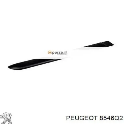 8546Q2 Peugeot/Citroen 