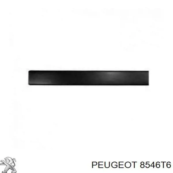 8546T6 Peugeot/Citroen молдинг бічний (зсувний двері)