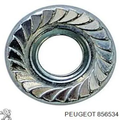 Купити 856534 Peugeot/Citroen 