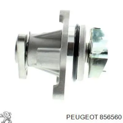 856560 Peugeot/Citroen кліпса (пістон кріплення молдинга двері)