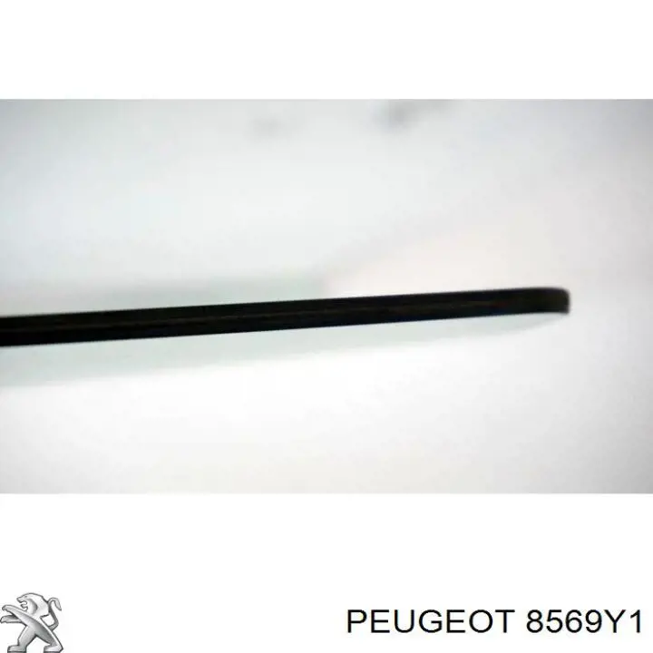 8569Y1 Peugeot/Citroen Скло дверей бічних (зсувних)