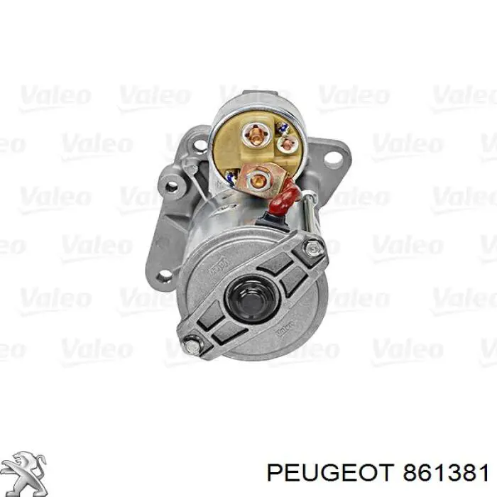 861381 Peugeot/Citroen 